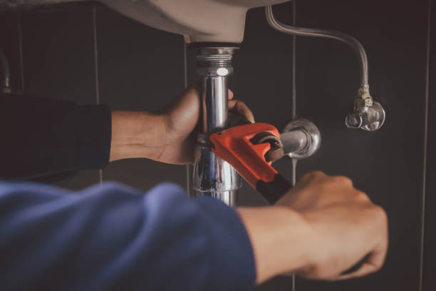 Best Commercial Plumbing Services  in Morris, MN